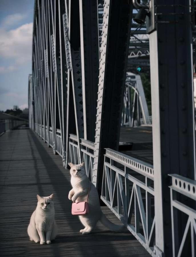 Waibaidu Bridge Photography Spot 2